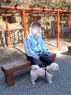 20130320-2.jpg