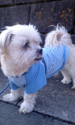 20130131.jpg