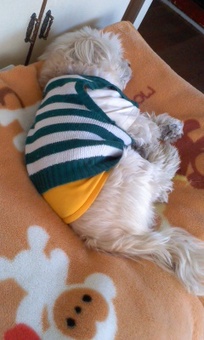 20130225-2.jpg