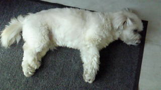 200904291357000.jpg
