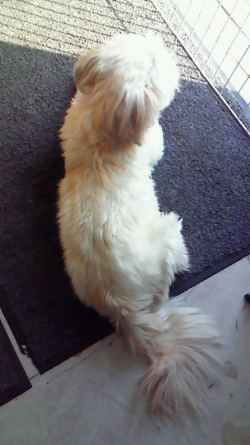 200910301338000.jpg