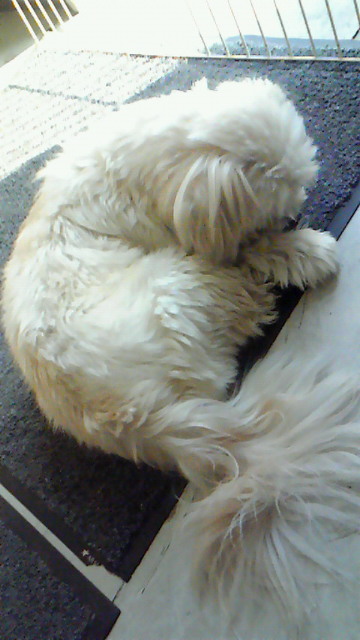 200910301338001.jpg