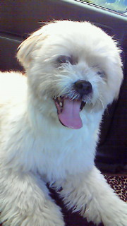 201006160908000.jpg