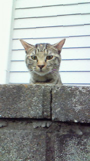 201006201738000.jpg