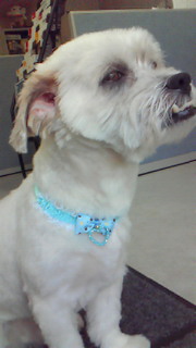 201006221739000.jpg