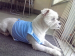 20100925_2.jpg