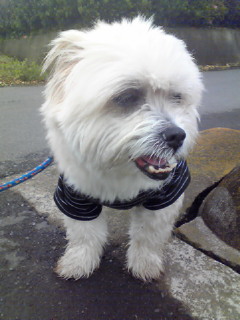 201105120902000.jpg