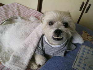2011092513590000.jpg