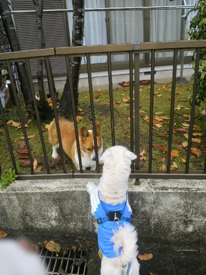 2011123111350000.jpg
