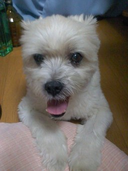 20140710 (1).jpg