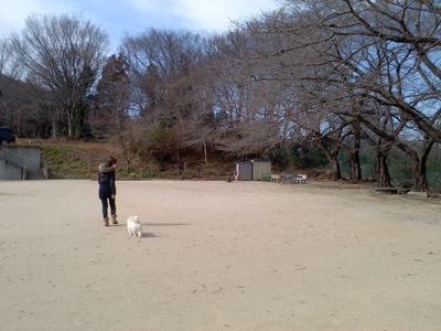 20150216 (3).jpg