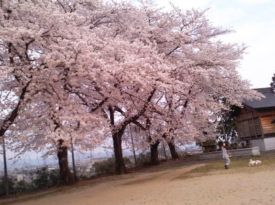 20150401-1.jpg