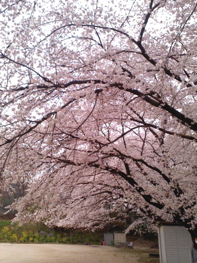 20150401-3.jpg