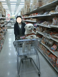 お買いもの