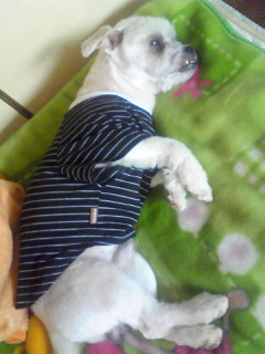 201105261227000.jpg